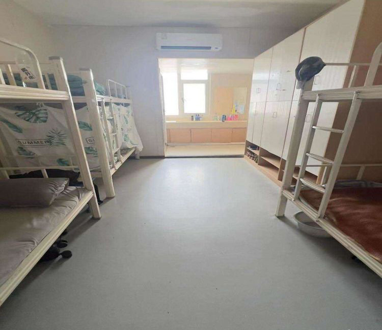 87073669.jpeg 6.jpeg